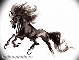 фото тату лошадь 24.12.2018 №197 - photo horse tattoo - tattoo-photo.ru