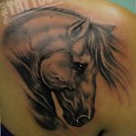 фото тату лошадь 24.12.2018 №200 - photo horse tattoo - tattoo-photo.ru