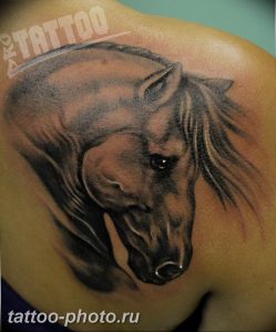 фото тату лошадь 24.12.2018 №200 - photo horse tattoo - tattoo-photo.ru