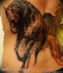 фото тату лошадь 24.12.2018 №210 - photo horse tattoo - tattoo-photo.ru