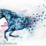 фото тату лошадь 24.12.2018 №214 - photo horse tattoo - tattoo-photo.ru