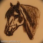 фото тату лошадь 24.12.2018 №216 - photo horse tattoo - tattoo-photo.ru