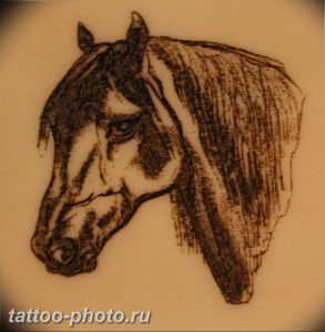 фото тату лошадь 24.12.2018 №216 - photo horse tattoo - tattoo-photo.ru