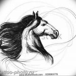 фото тату лошадь 24.12.2018 №220 - photo horse tattoo - tattoo-photo.ru