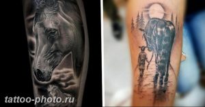 фото тату лошадь 24.12.2018 №222 - photo horse tattoo - tattoo-photo.ru