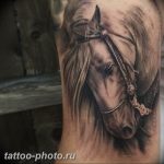 фото тату лошадь 24.12.2018 №227 - photo horse tattoo - tattoo-photo.ru