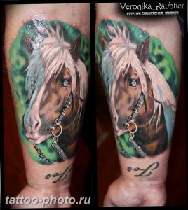 фото тату лошадь 24.12.2018 №228 - photo horse tattoo - tattoo-photo.ru