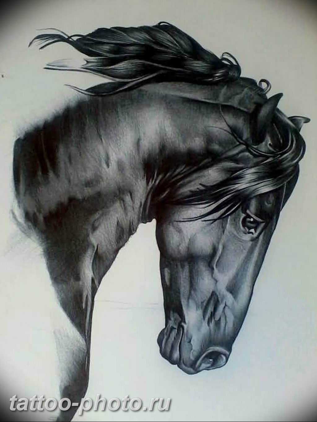 Лошадь реализм