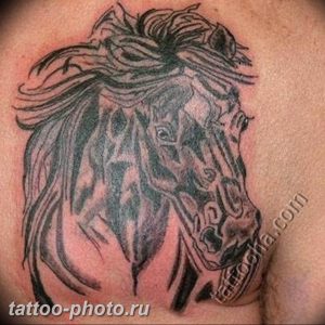 фото тату лошадь 24.12.2018 №231 - photo horse tattoo - tattoo-photo.ru