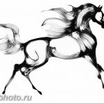 фото тату лошадь 24.12.2018 №232 - photo horse tattoo - tattoo-photo.ru