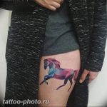 фото тату лошадь 24.12.2018 №240 - photo horse tattoo - tattoo-photo.ru