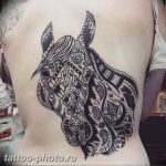 фото тату лошадь 24.12.2018 №241 - photo horse tattoo - tattoo-photo.ru