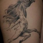 фото тату лошадь 24.12.2018 №242 - photo horse tattoo - tattoo-photo.ru
