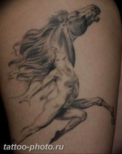 фото тату лошадь 24.12.2018 №242 - photo horse tattoo - tattoo-photo.ru