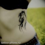 фото тату лошадь 24.12.2018 №244 - photo horse tattoo - tattoo-photo.ru