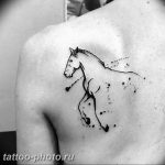 фото тату лошадь 24.12.2018 №245 - photo horse tattoo - tattoo-photo.ru