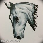 фото тату лошадь 24.12.2018 №250 - photo horse tattoo - tattoo-photo.ru