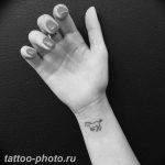 фото тату лошадь 24.12.2018 №251 - photo horse tattoo - tattoo-photo.ru