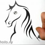 фото тату лошадь 24.12.2018 №254 - photo horse tattoo - tattoo-photo.ru