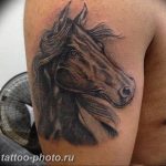 фото тату лошадь 24.12.2018 №255 - photo horse tattoo - tattoo-photo.ru