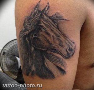 фото тату лошадь 24.12.2018 №255 - photo horse tattoo - tattoo-photo.ru