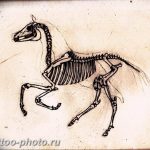 фото тату лошадь 24.12.2018 №256 - photo horse tattoo - tattoo-photo.ru