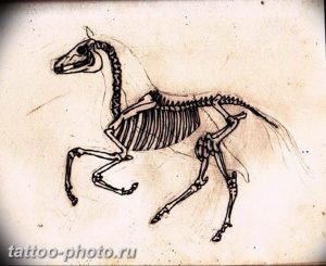 фото тату лошадь 24.12.2018 №256 - photo horse tattoo - tattoo-photo.ru