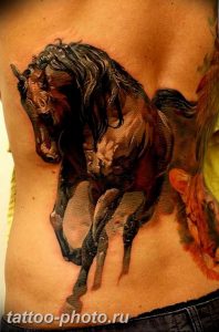 фото тату лошадь 24.12.2018 №269 - photo horse tattoo - tattoo-photo.ru