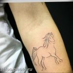 фото тату лошадь 24.12.2018 №272 - photo horse tattoo - tattoo-photo.ru