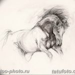 фото тату лошадь 24.12.2018 №273 - photo horse tattoo - tattoo-photo.ru