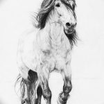 фото тату лошадь 24.12.2018 №275 - photo horse tattoo - tattoo-photo.ru
