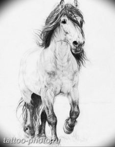 фото тату лошадь 24.12.2018 №275 - photo horse tattoo - tattoo-photo.ru