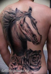 фото тату лошадь 24.12.2018 №283 - photo horse tattoo - tattoo-photo.ru