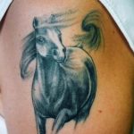 фото тату лошадь 24.12.2018 №285 - photo horse tattoo - tattoo-photo.ru