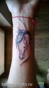 фото тату лошадь 24.12.2018 №286 - photo horse tattoo - tattoo-photo.ru