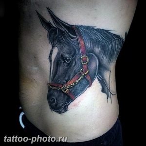 фото тату лошадь 24.12.2018 №291 - photo horse tattoo - tattoo-photo.ru