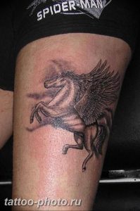 фото тату лошадь 24.12.2018 №295 - photo horse tattoo - tattoo-photo.ru