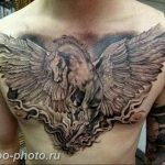 фото тату лошадь 24.12.2018 №300 - photo horse tattoo - tattoo-photo.ru