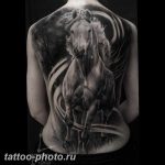 фото тату лошадь 24.12.2018 №301 - photo horse tattoo - tattoo-photo.ru