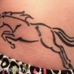 фото тату лошадь 24.12.2018 №302 - photo horse tattoo - tattoo-photo.ru