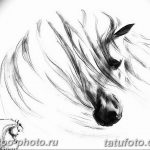 фото тату лошадь 24.12.2018 №304 - photo horse tattoo - tattoo-photo.ru