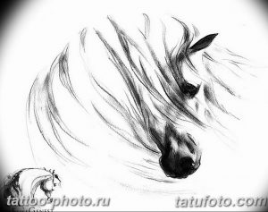 фото тату лошадь 24.12.2018 №304 - photo horse tattoo - tattoo-photo.ru