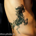 фото тату лошадь 24.12.2018 №307 - photo horse tattoo - tattoo-photo.ru