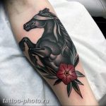 фото тату лошадь 24.12.2018 №310 - photo horse tattoo - tattoo-photo.ru