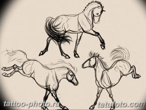 фото тату лошадь 24.12.2018 №314 - photo horse tattoo - tattoo-photo.ru