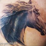 фото тату лошадь 24.12.2018 №319 - photo horse tattoo - tattoo-photo.ru