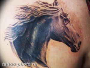 фото тату лошадь 24.12.2018 №319 - photo horse tattoo - tattoo-photo.ru