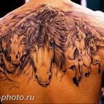 фото тату лошадь 24.12.2018 №331 - photo horse tattoo - tattoo-photo.ru