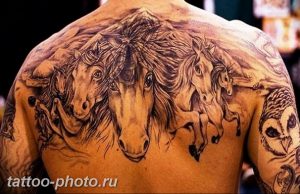 фото тату лошадь 24.12.2018 №331 - photo horse tattoo - tattoo-photo.ru