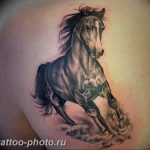 фото тату лошадь 24.12.2018 №335 - photo horse tattoo - tattoo-photo.ru